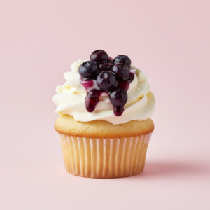 Blueberry Cheesecake